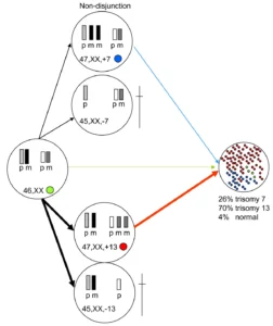 Aneuploidy