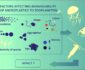 Bioavailability